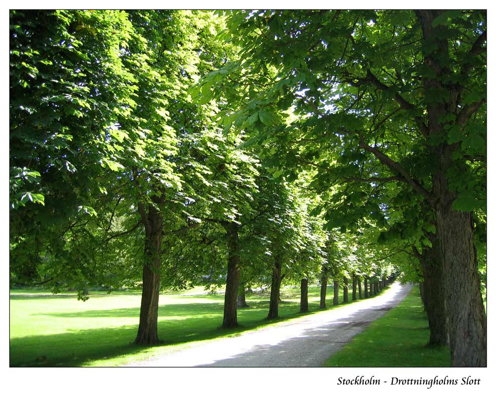 The Gardens of Drottningholms Royal Palace