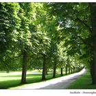 The Gardens of Drottningholms Royal Palace