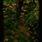 the Gardens of Lothlorien....