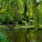 The gardens of the Chateau du Clos Lucé