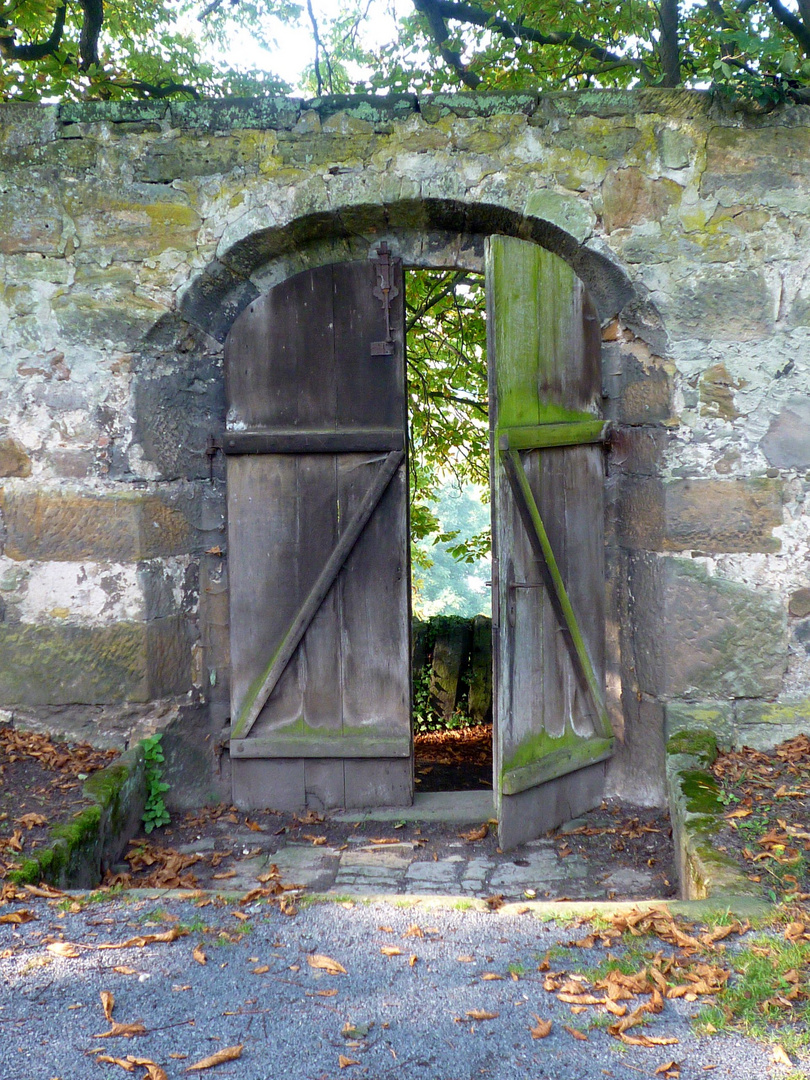 The gate