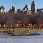 * The Gates . . Central Park New York *
