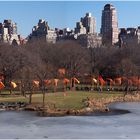 * The Gates . . Central Park New York *