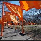 The Gates, Wind & Sunshine