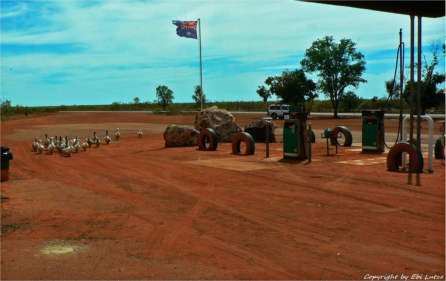 * The Geese of Sandfire Roadhouse *