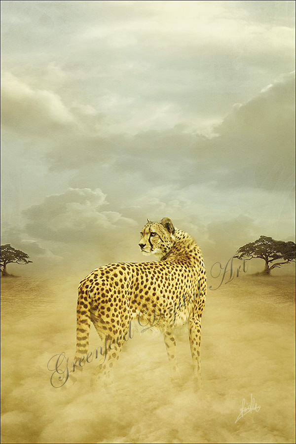 the gepard