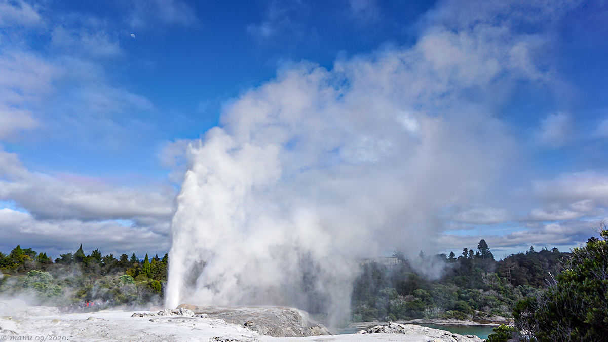 The Geysers