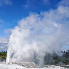 The Geysers