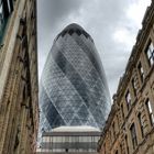 The Gherkin 01