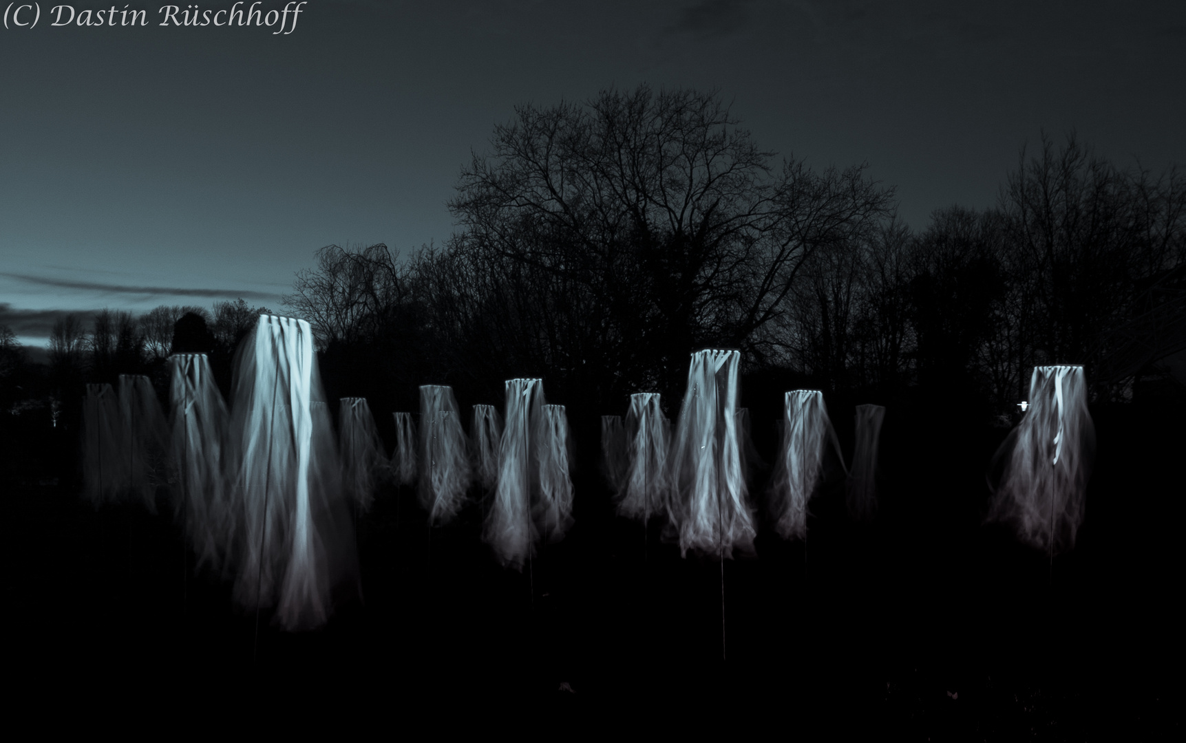 The Ghosts