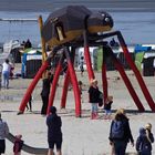 The Giant Spider Invasion…