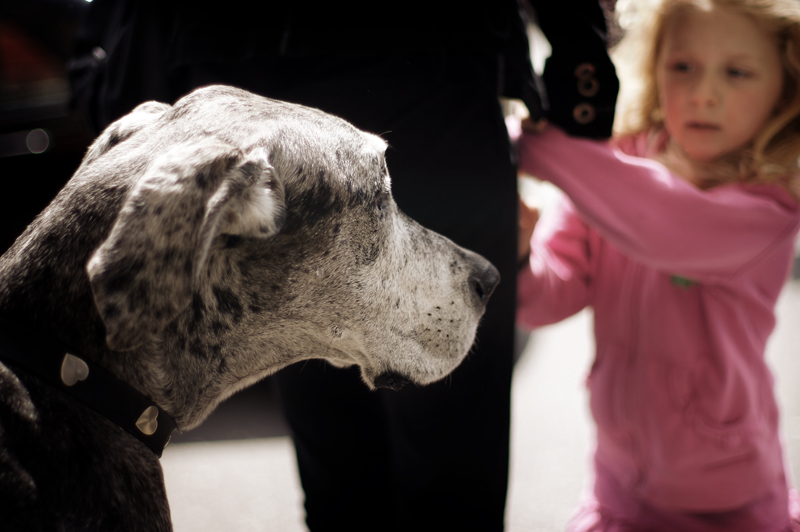 The Girl and the Dog