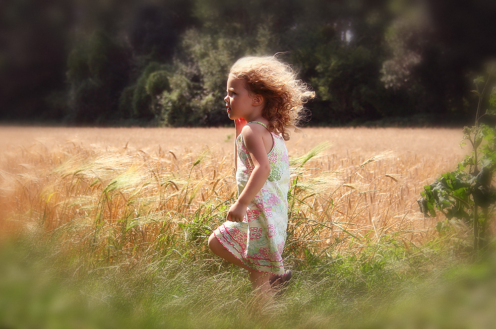 The Girl and the Field