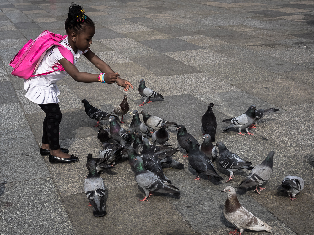 The girl and the pigeons...