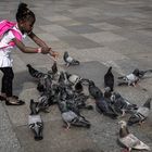 The girl and the pigeons...