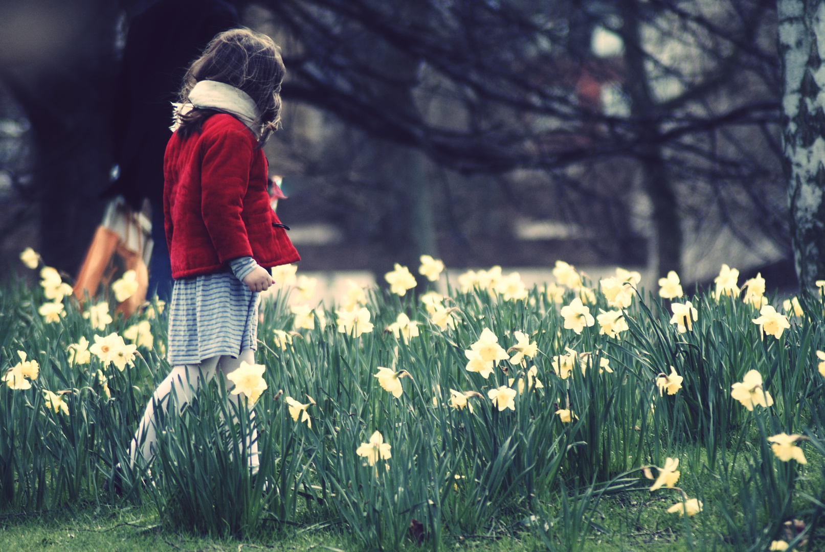 The girl in red