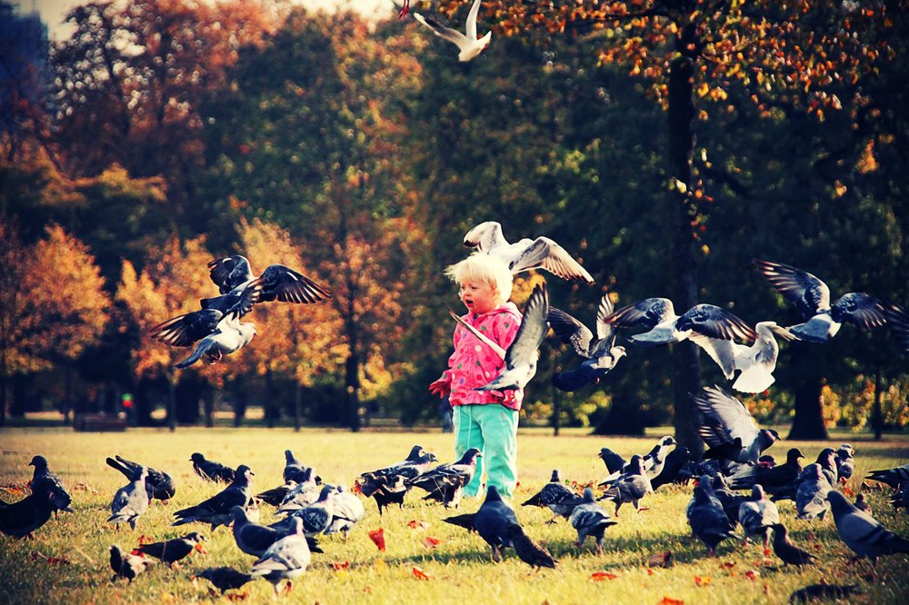 The girl pigeons