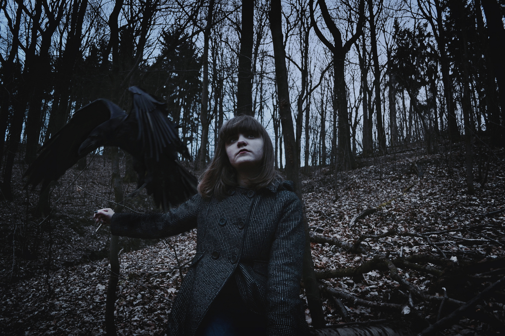 The girl with the raven