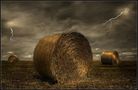 « the glowing bales » von Stefan F