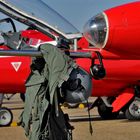 The Gnat Display Team is very sad to announce the loss of one of its display pilots