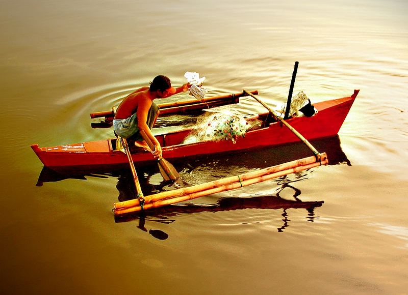 The gold net fisher