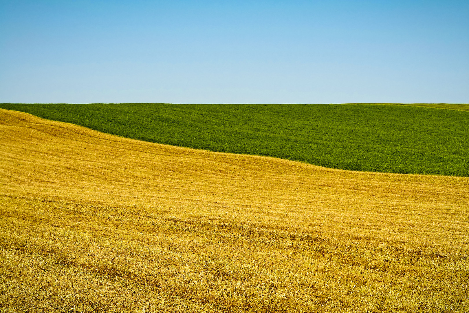 The Gold of Slavonia