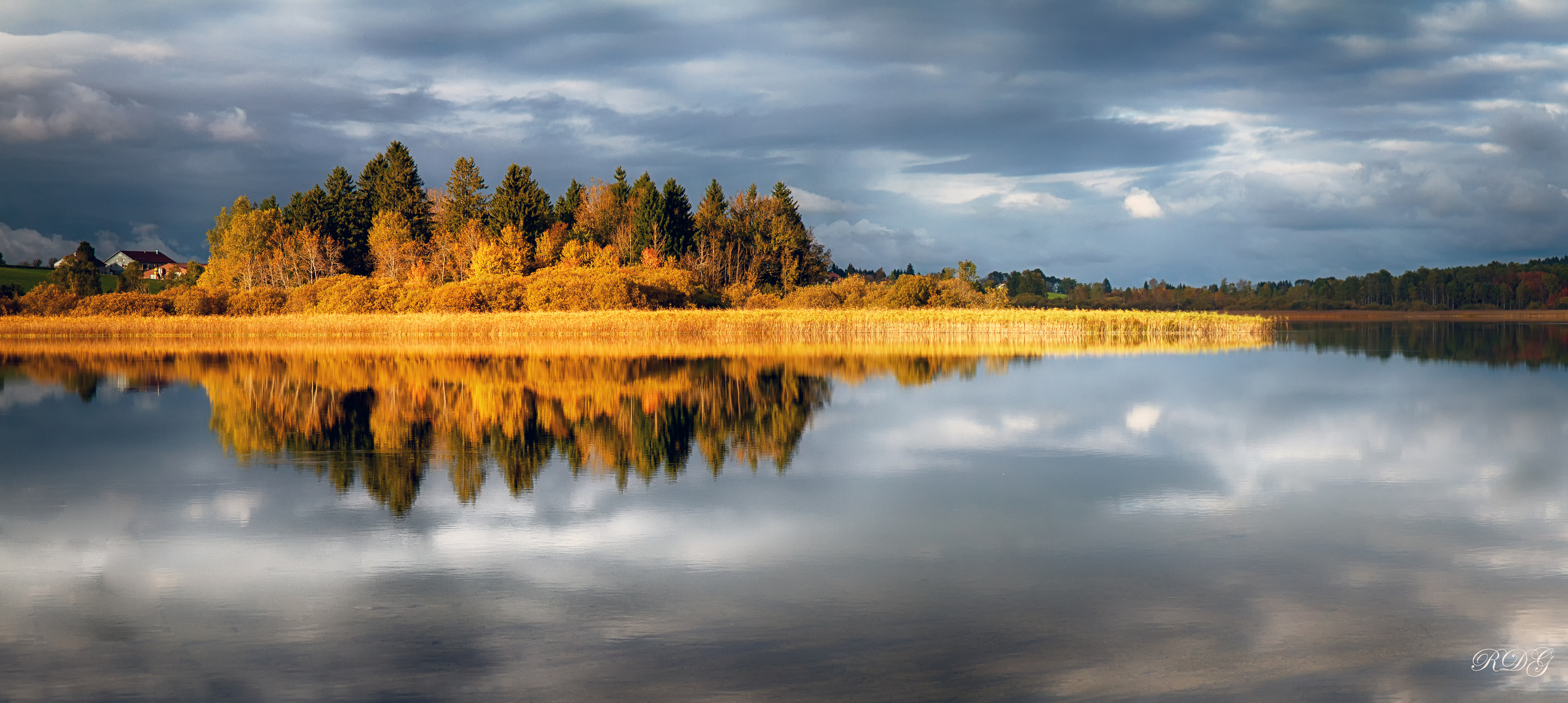 The Gold of the earth...L'or de la terre..........