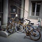 THE GOLDEN BICYCLE -Lucca