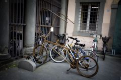 THE GOLDEN BICYCLE -Lucca