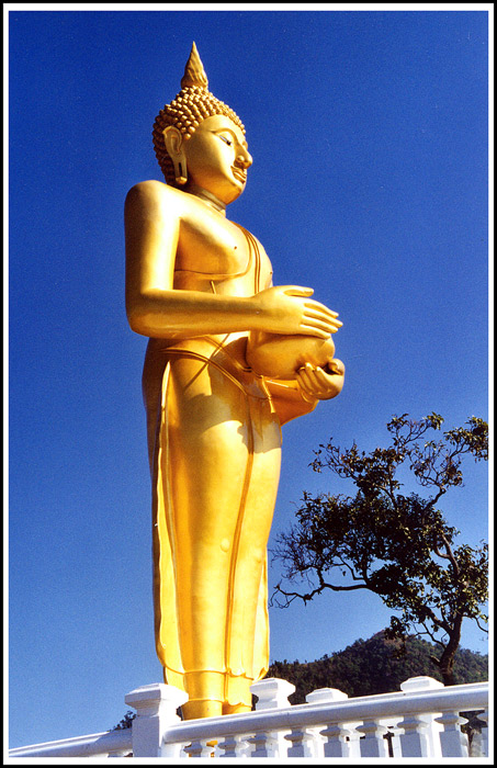 The golden Buddha