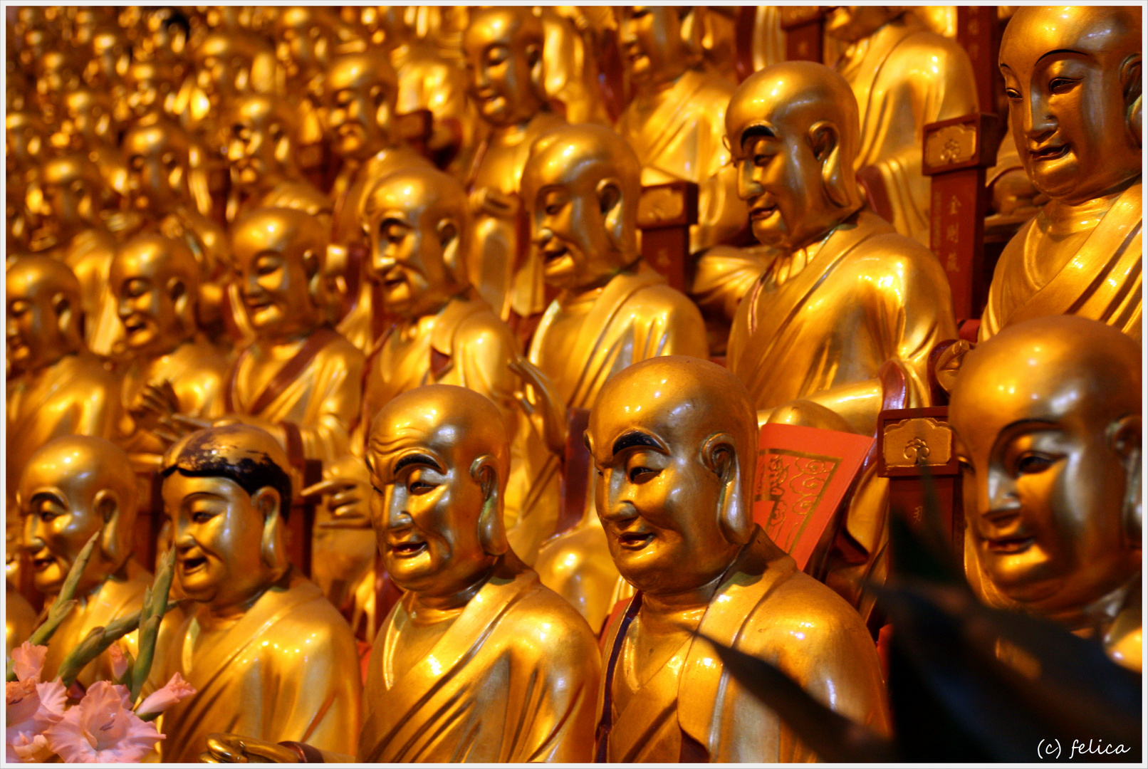 the golden buddhas