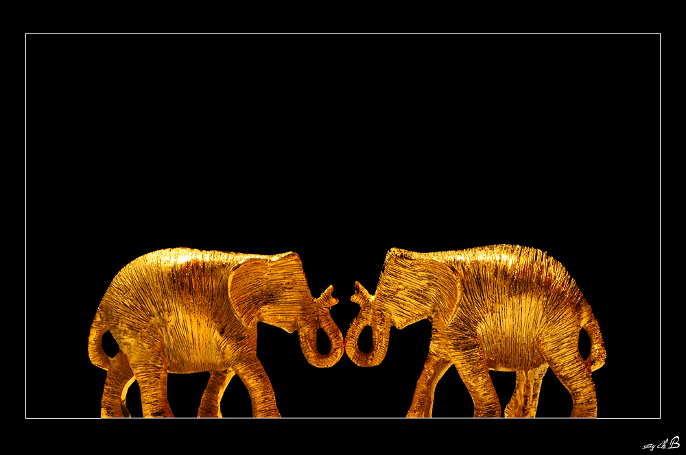 The Golden Elephants
