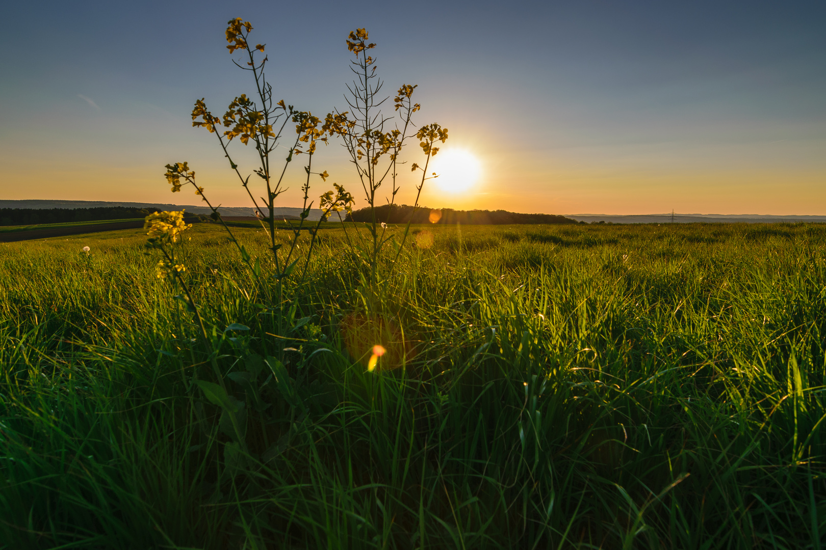 The golden Hour