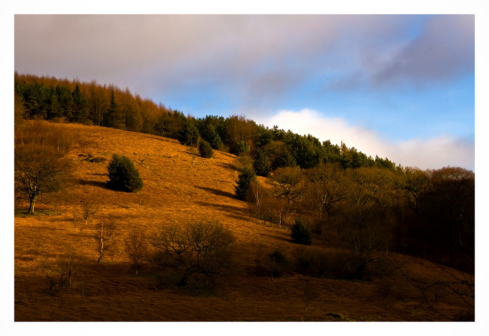 The Golden Hour