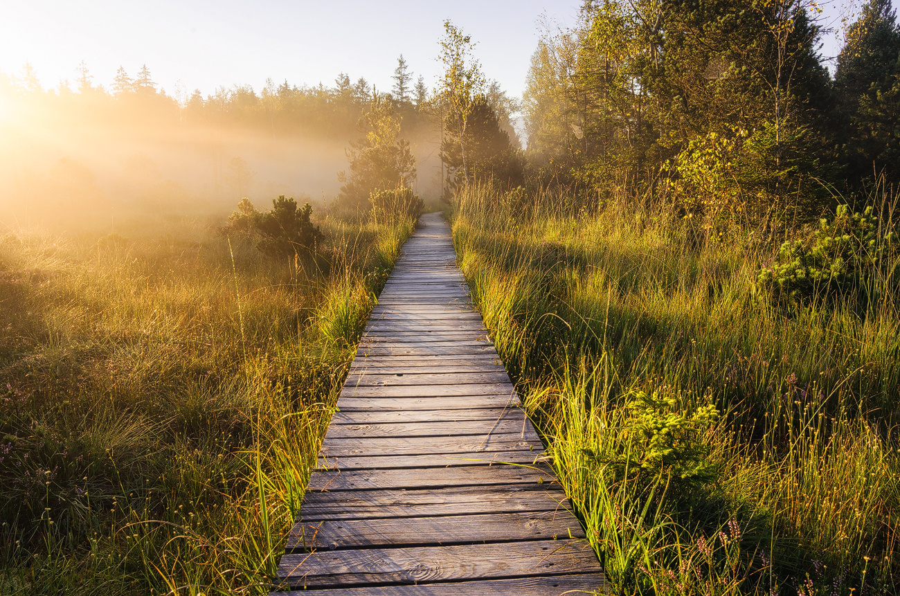 The golden path