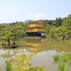 The golden pavilion