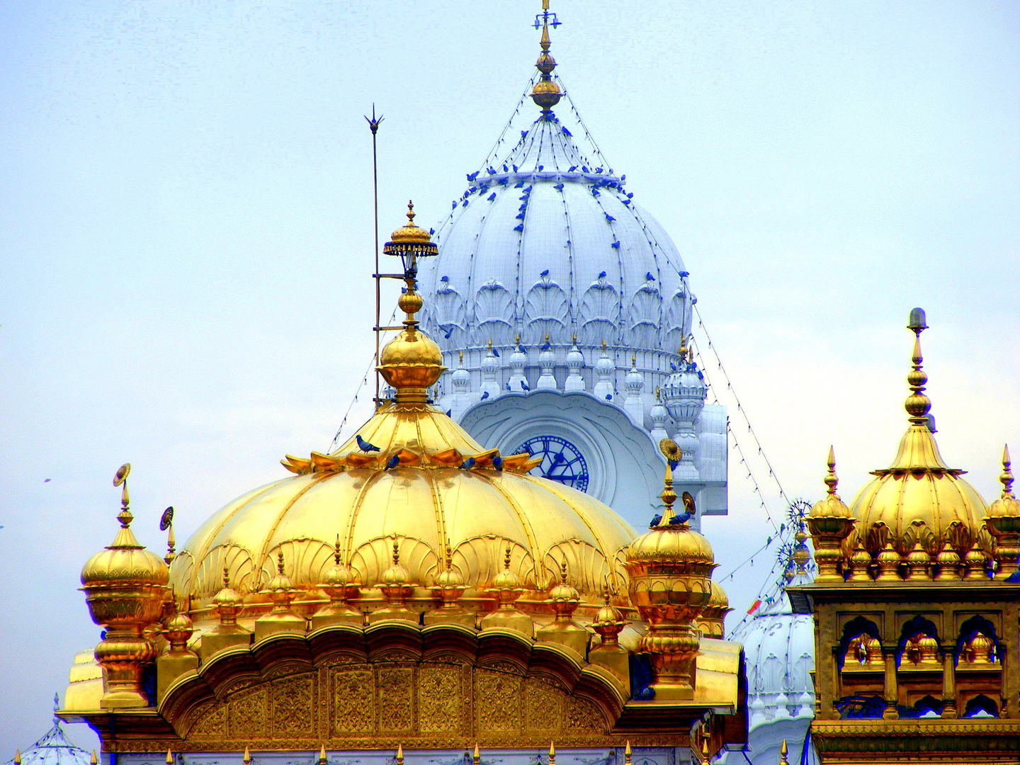 .The Golden Temple.