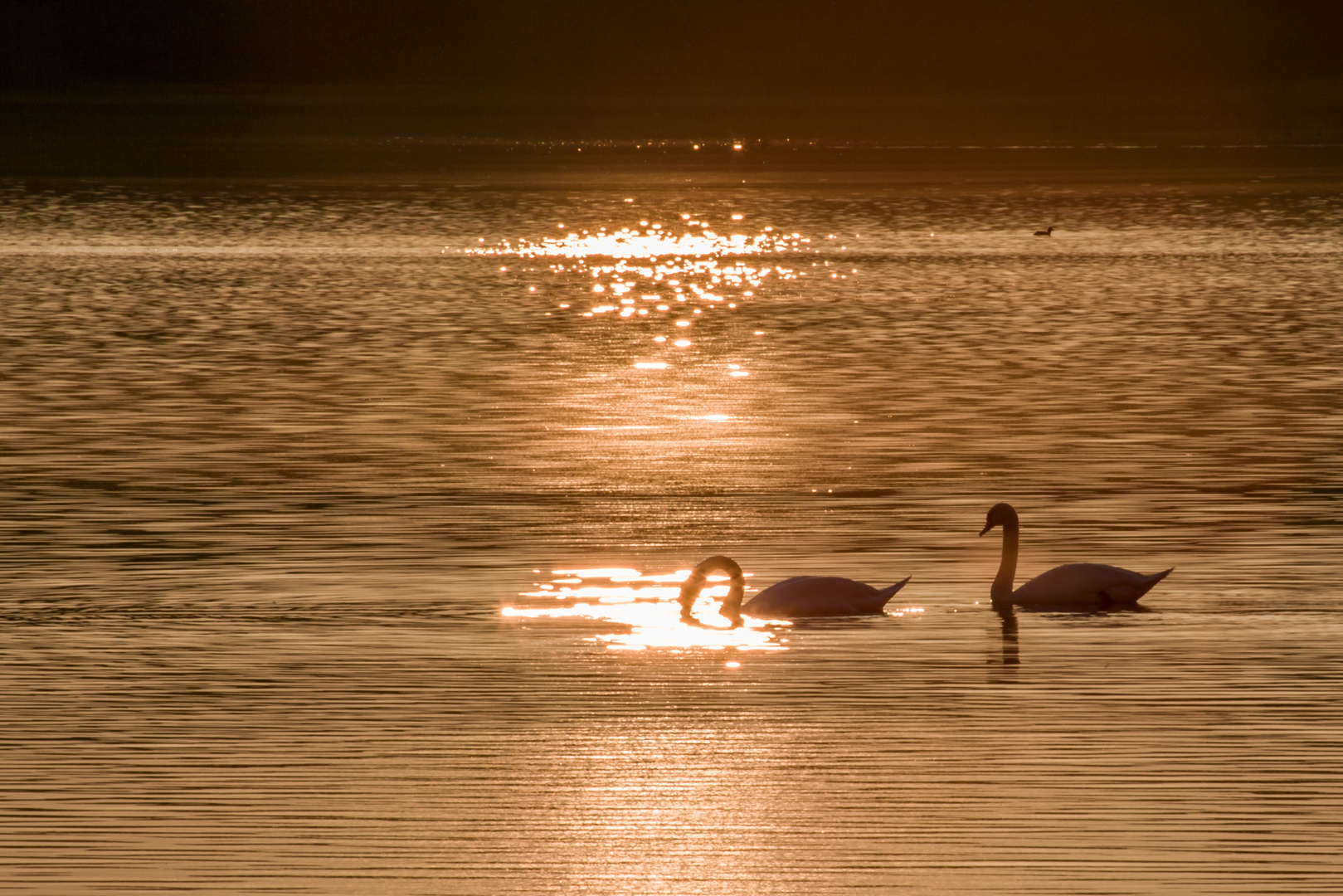 The golden touch