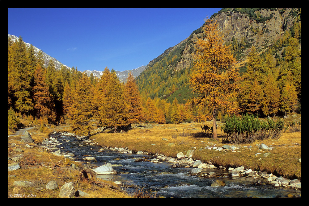 The golden valley