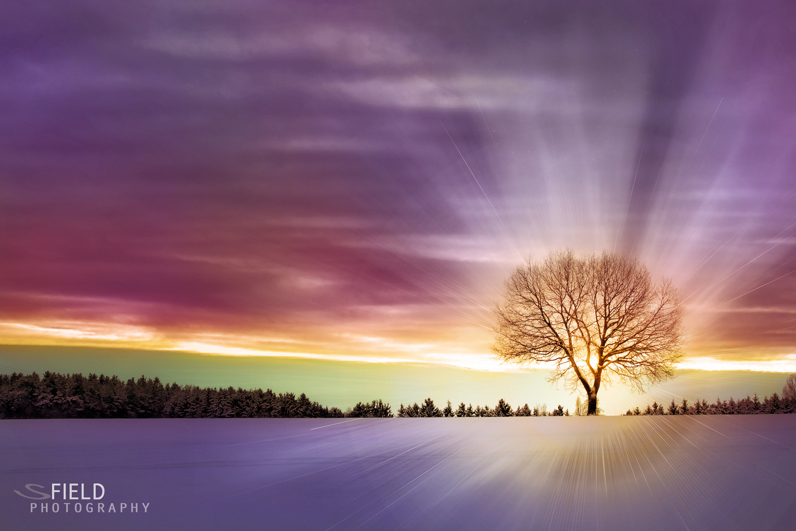 The golden WinterTree