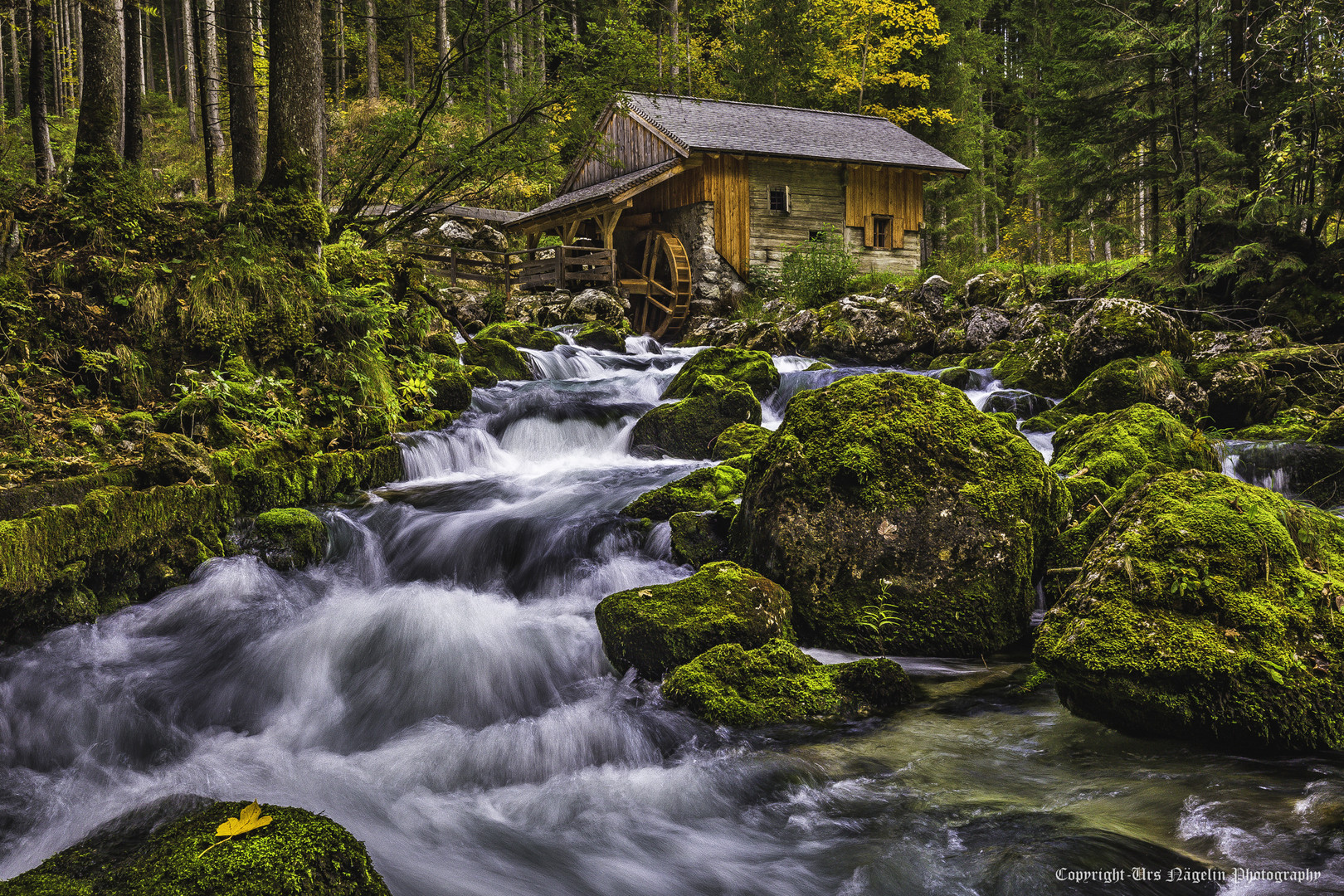 "the golling mill"