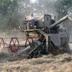 the grain harvest with a claas matador.