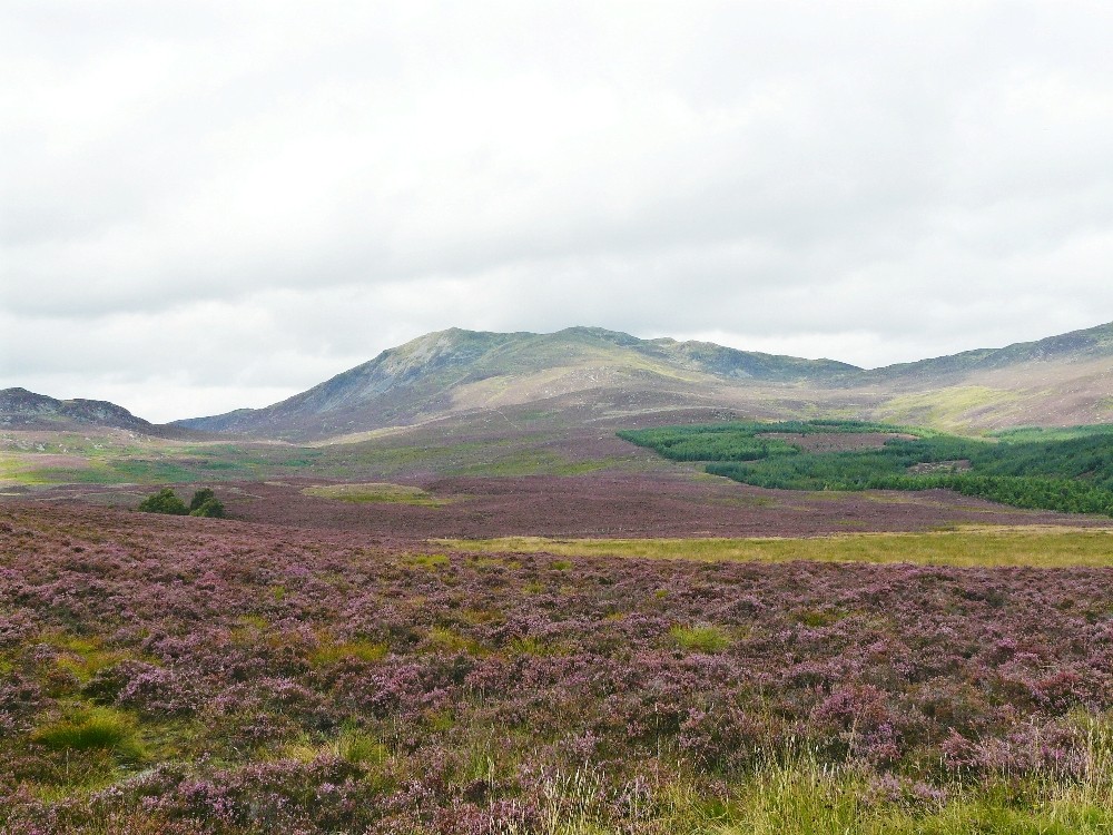 the Grampian Mountains, Scotland Foto & Bild landschaft, moor, gbirland Bilder auf