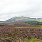 the Grampian- Mountains, Scotland