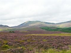 the Grampian- Mountains, Scotland