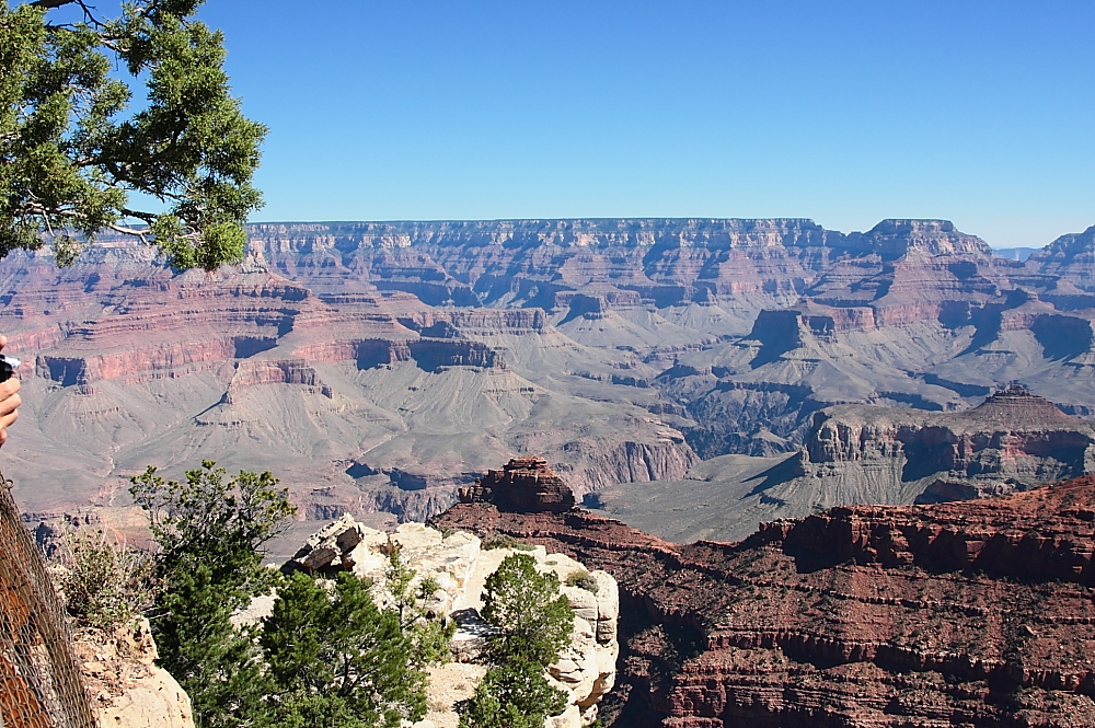 The Grand Canyon