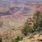 The Grand Canyon 