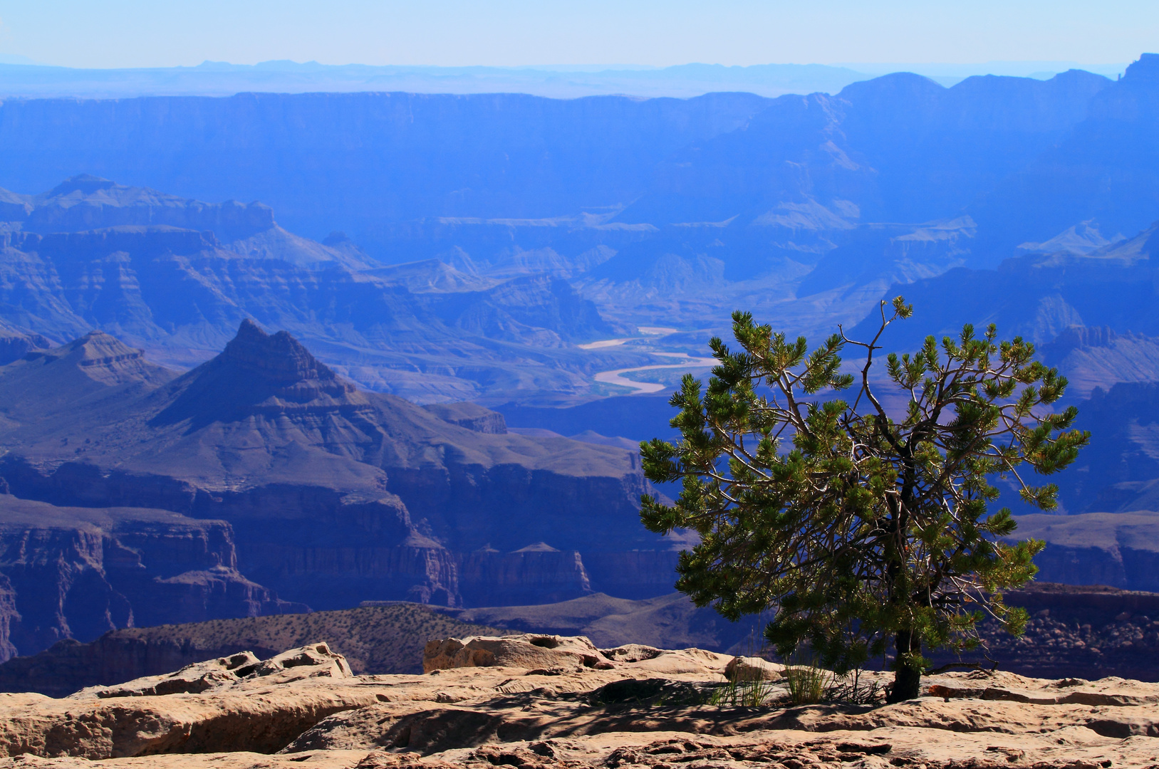 The Grand Canyon