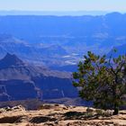 The Grand Canyon