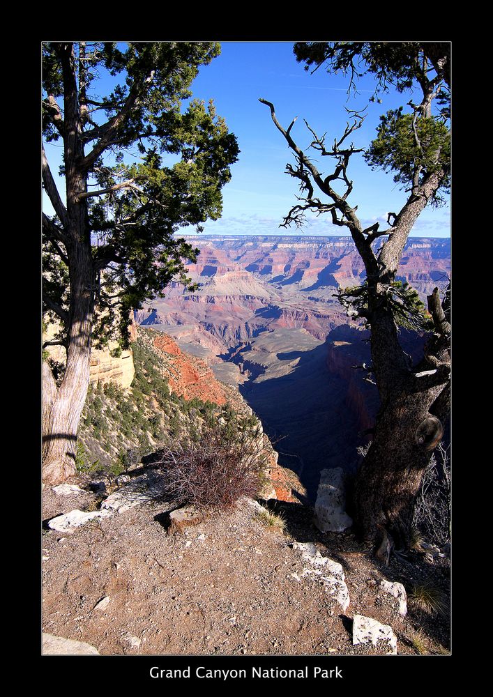 The Grand Canyon I